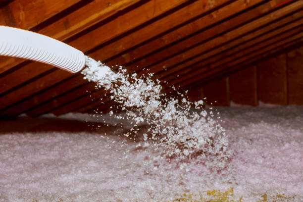 Best Insulation Installation Services in Ball, LA