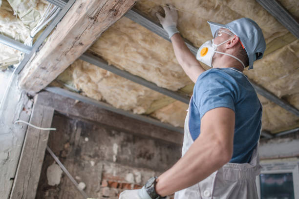 Best Insulation Installation Services in Ball, LA