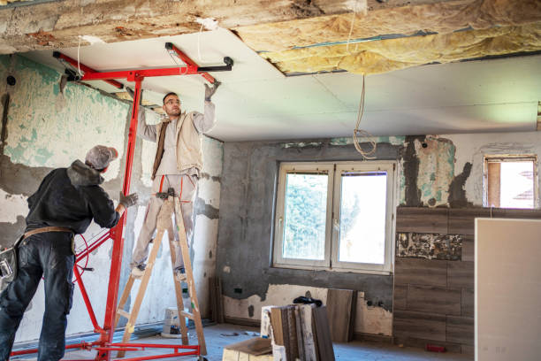 Best Specialty Insulation in Ball, LA