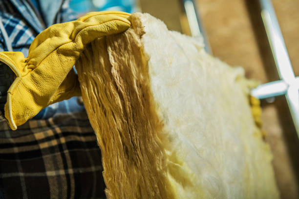 Best Residential Insulation in Ball, LA