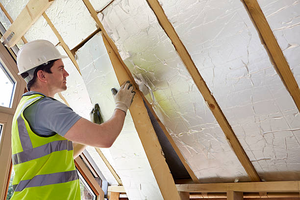 Best Types of Insulation in Ball, LA